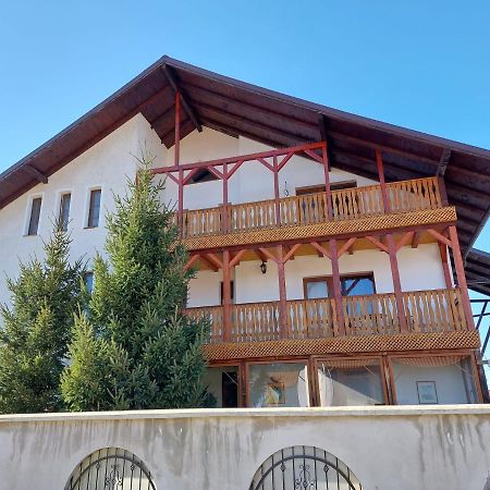 Pensiunea Vera Risnov Bagian luar foto