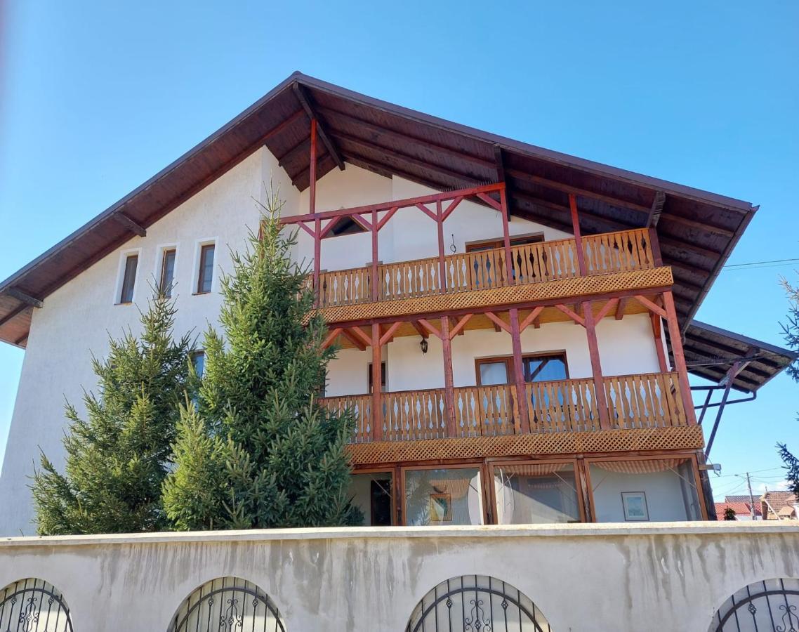 Pensiunea Vera Risnov Bagian luar foto