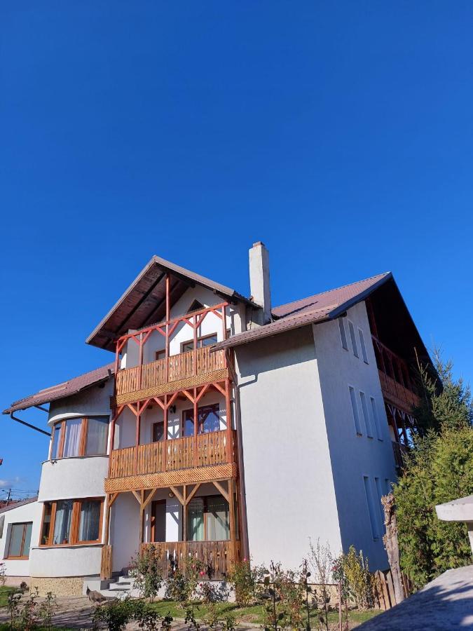 Pensiunea Vera Risnov Bagian luar foto