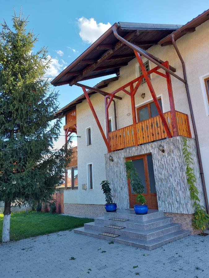 Pensiunea Vera Risnov Bagian luar foto
