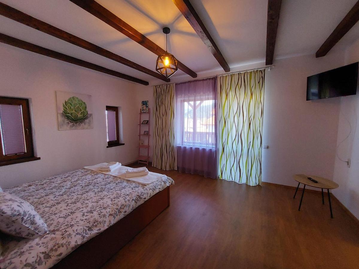 Pensiunea Vera Risnov Bagian luar foto